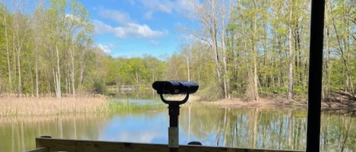 EnChroma Viewer for Colorblind