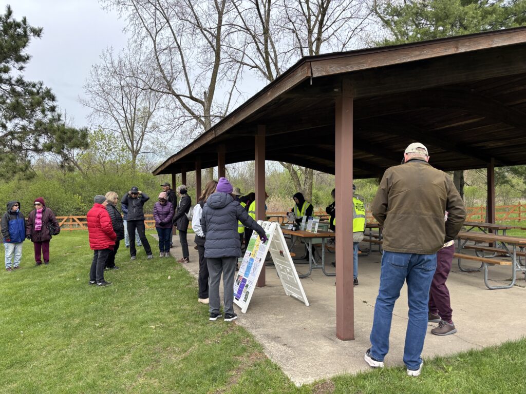 Wildflower Walk 2025