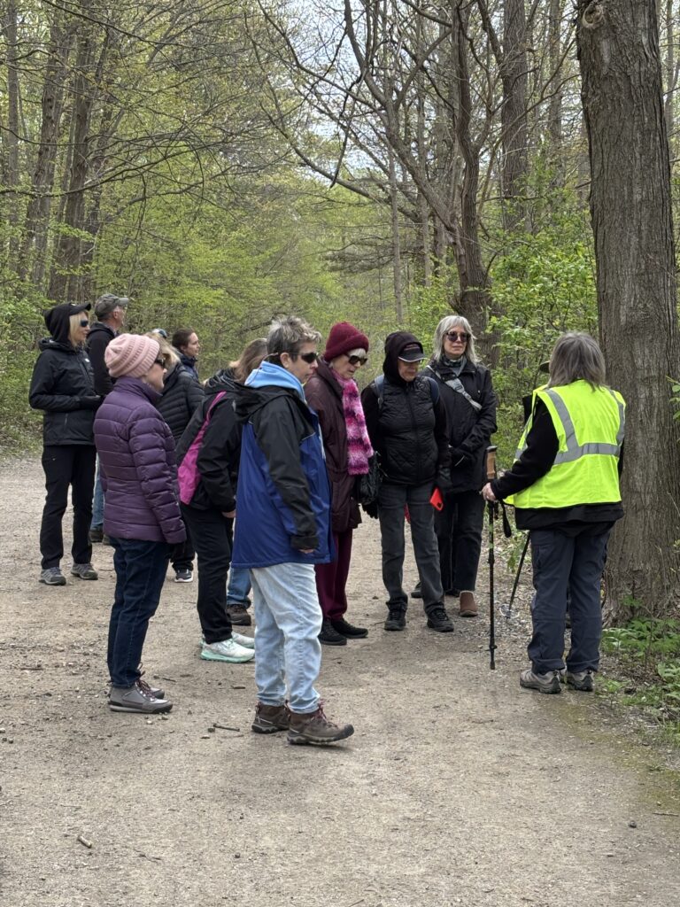 Wildflower Walk 2025