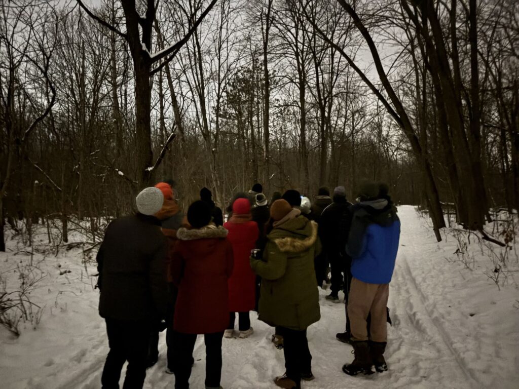 Maybury Owl Prowl 2025