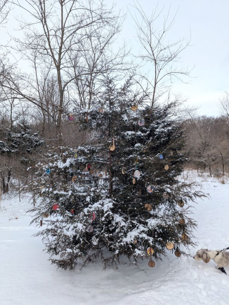 2026 New Year's Day Hike