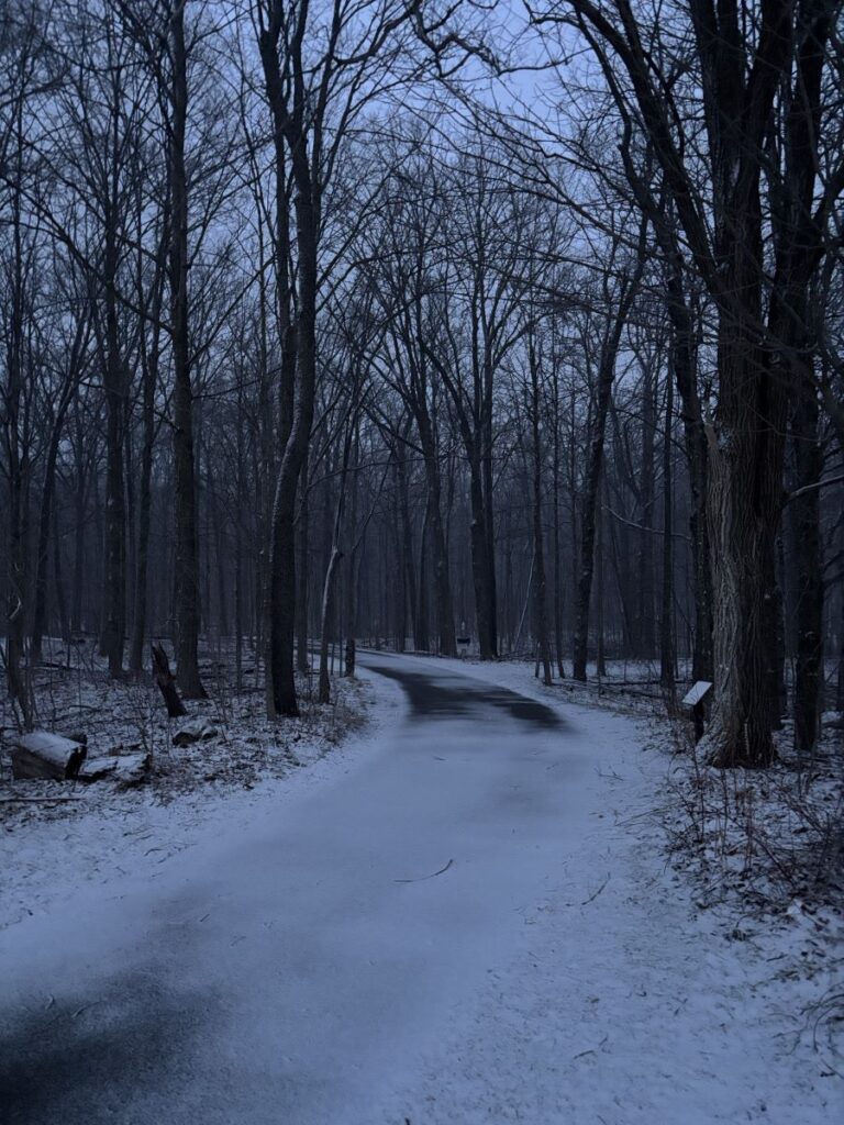 Full Moon Night Hike, Feb 2026