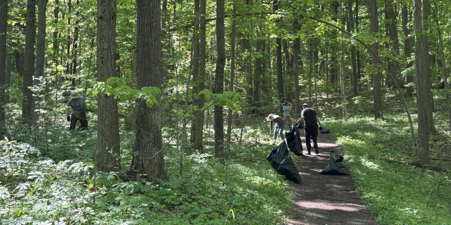 Volunteers at the garlic mustard pull, May 17, 2026