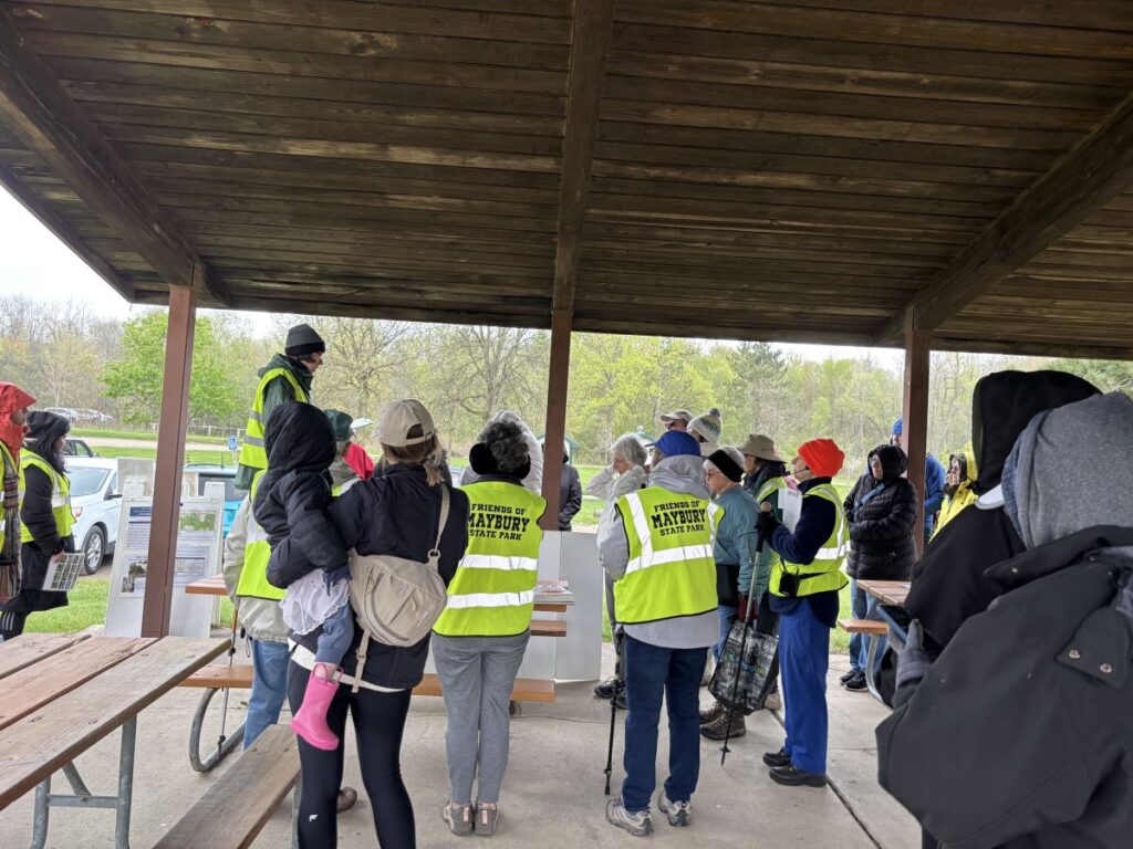 Wildflower Walk 2026