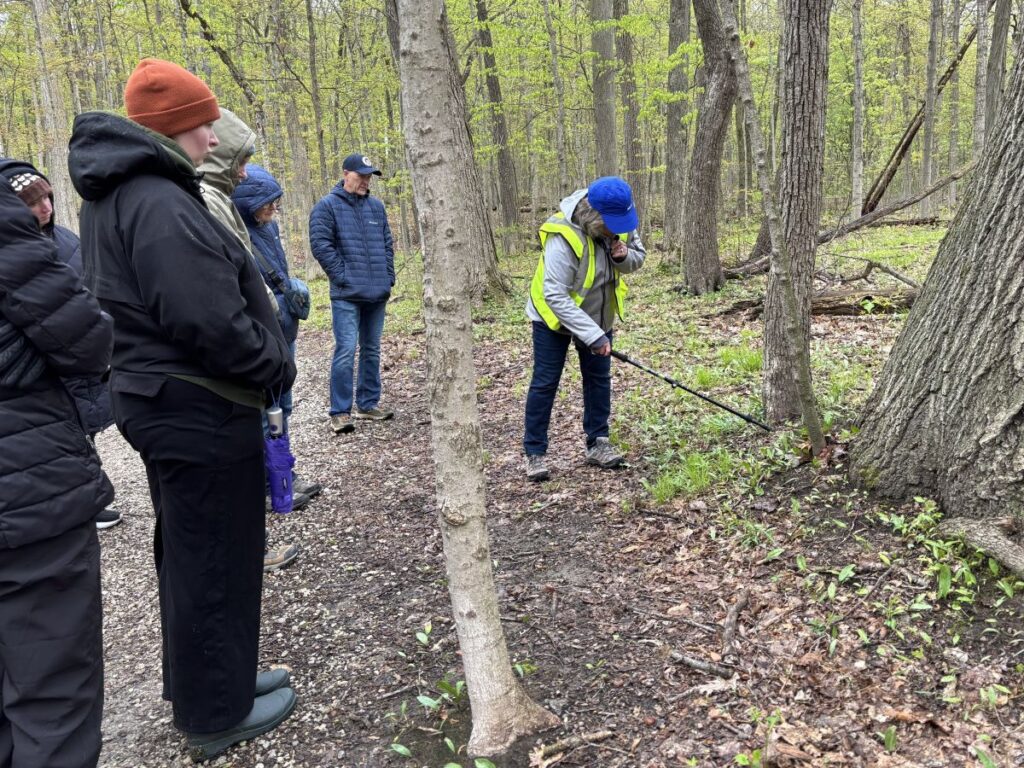 Wildflower Walk 2026