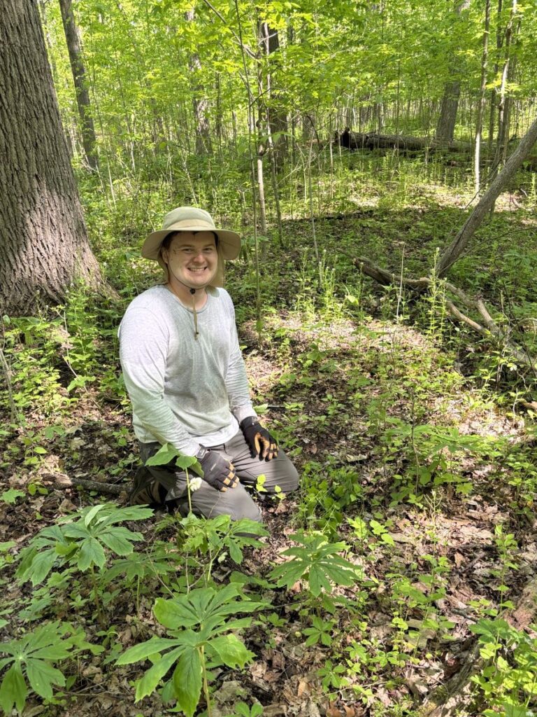 Volunteer at the garlic mustard pull, May 17, 2026